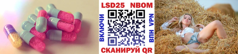 LSD-25 экстази кислота  купить наркоту  Ставрополь 