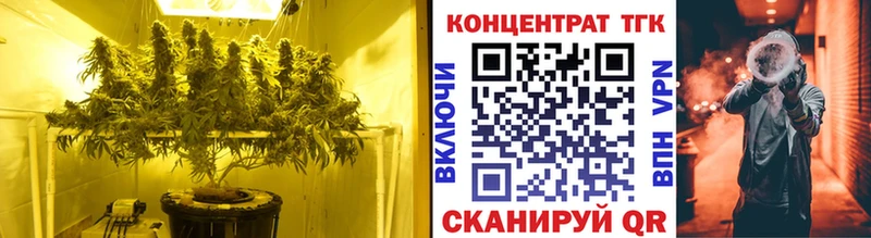 Дистиллят ТГК Wax  где найти наркотики  ссылка на мегу ссылки  Ставрополь 