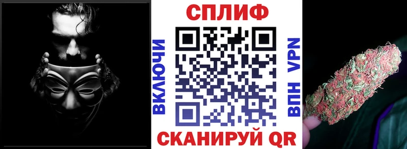 как найти   Ставрополь  Бошки марихуана индика 
